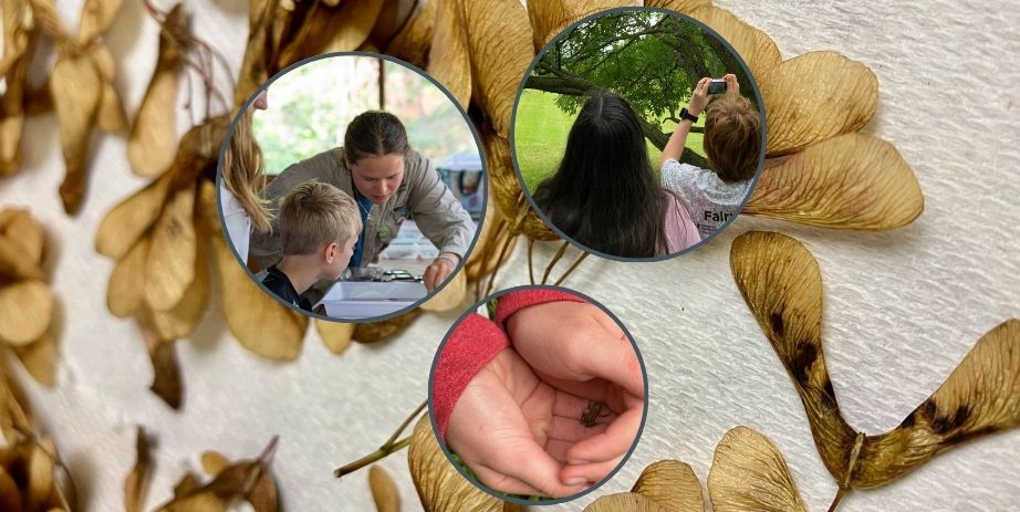 Community Science Day in Partnership with the Bell Museum at the Forest History Center