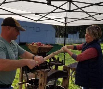 Apples Cider Pressing Historic Forestville