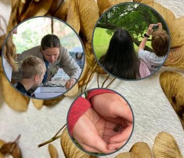 Community Science Day in Partnership with the Bell Museum at the Forest History Center