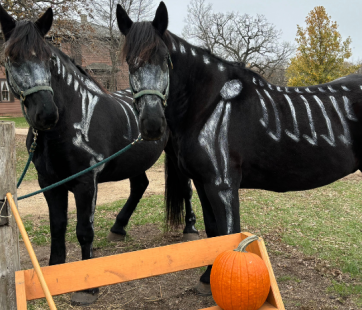 Halloween Farm