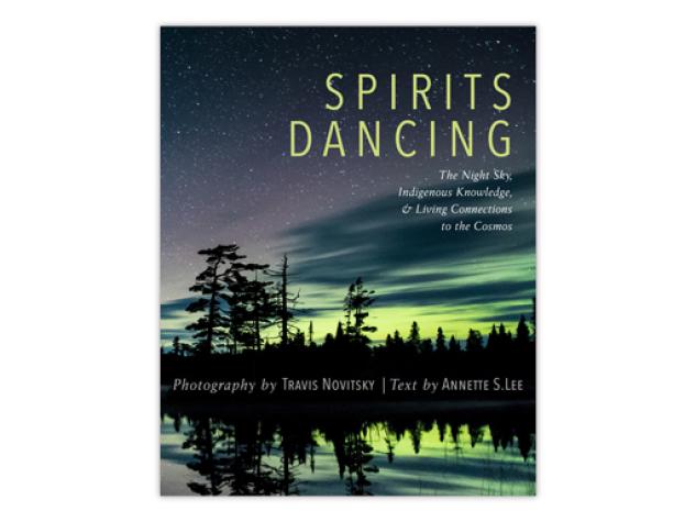 Book cover of night time north woods landscape with aurora